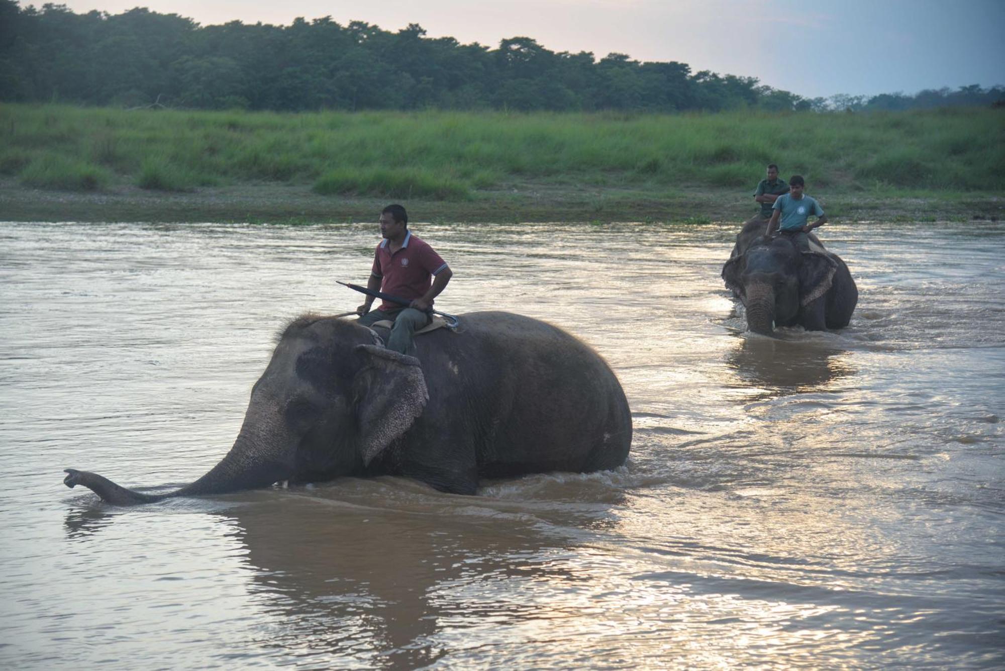 Greenland Safari, Sauraha Buitenkant foto