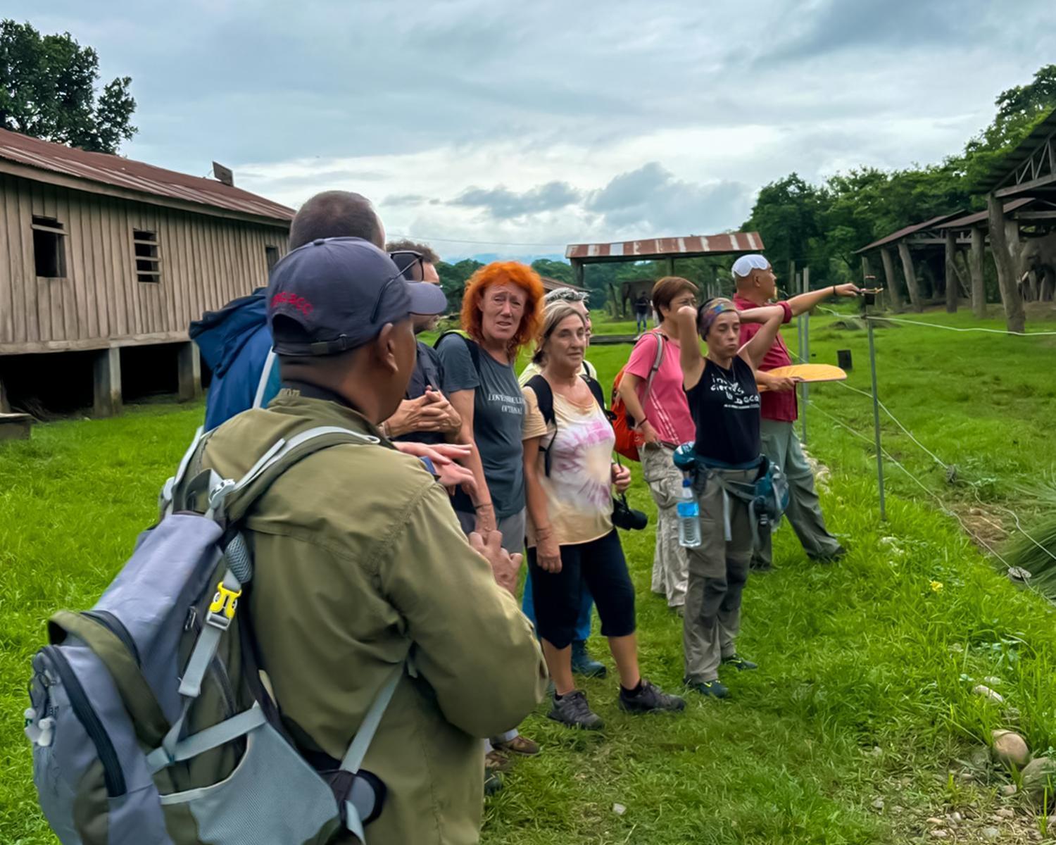 Greenland Safari, Sauraha Buitenkant foto